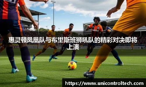 惠灵顿凤凰队与布里斯班狮吼队的精彩对决即将上演